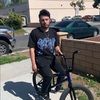 dmzamora7